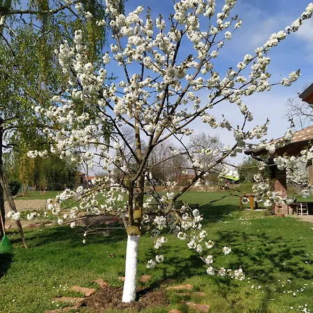 Il Casale Dell'airone 度假居 *