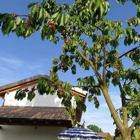 度假居 Il Casale Dell'airone