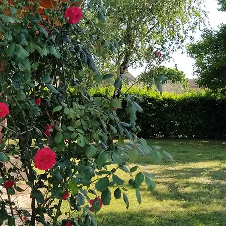 Il Casale Dell'airone Tornaco