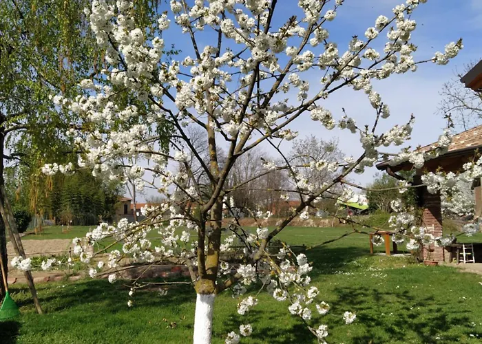 Il Casale Dell'airone Σπίτι διακοπών *