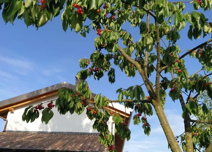 Σπίτι διακοπών Il Casale Dell'airone