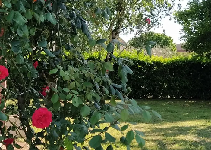 Il Casale Dell'airone Tornaco